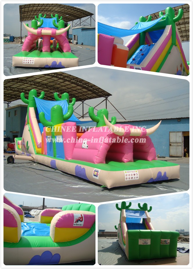 a - Chinee Inflatable Inc.