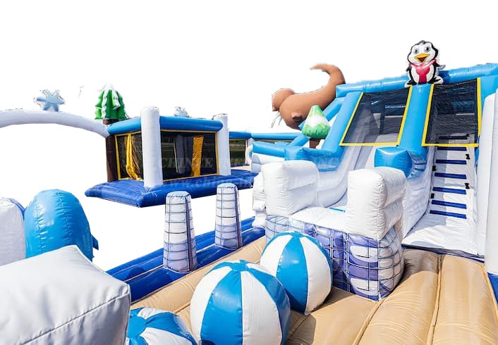 T6-808 Bounce World Frozen Bounce House
