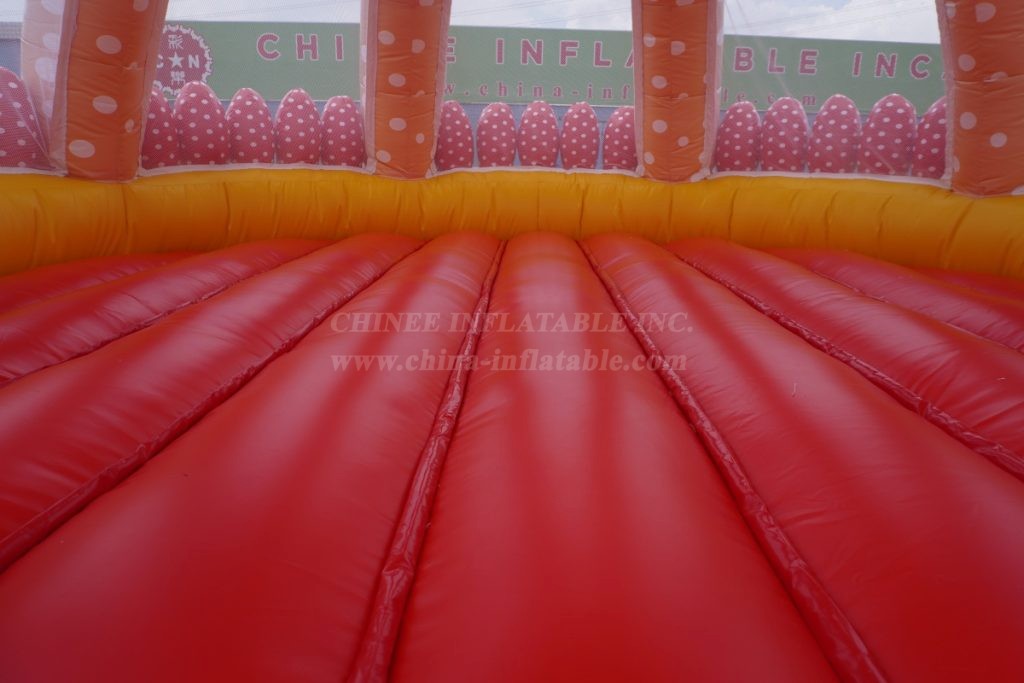 T2-6500 Cake Shape Bounce House