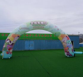 Arch2-502 Arche Gonflable