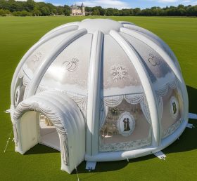 Tent1-4984 Weddings Theme Inflatable Dom...