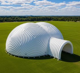Tent1-6239 Spiral Swirl Inflatable Dome