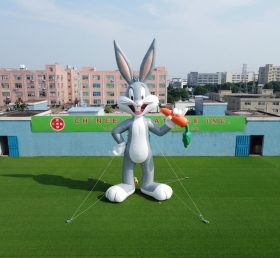 Cartoon3-802 Thème Looney Tunes Gonflable Cartoon