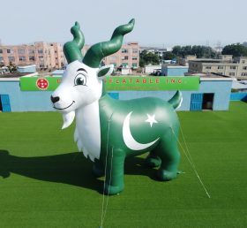 Cartoon3-948 Thème Pakistan Dessin animé gonflable