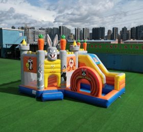 T2-8804 Château Gonflable Thème Looney Tunes avec Toboggan et Piscine