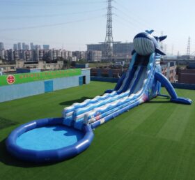 GS2-203 Toboggan Aquatique Géant à Thème de Baleine