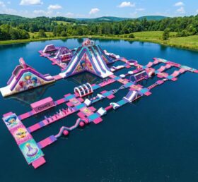 S649 Parc Aquatique Gonflable Thème Shimmer & Shine