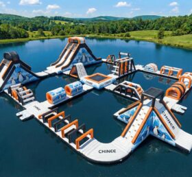 S812 Parc Aquatique Gonflable Thème Pingouin