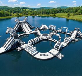 S880 Parc Aquatique Gonflable Thème Zèbre