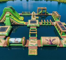S929 Parc Aquatique Gonflable Thème Shrek